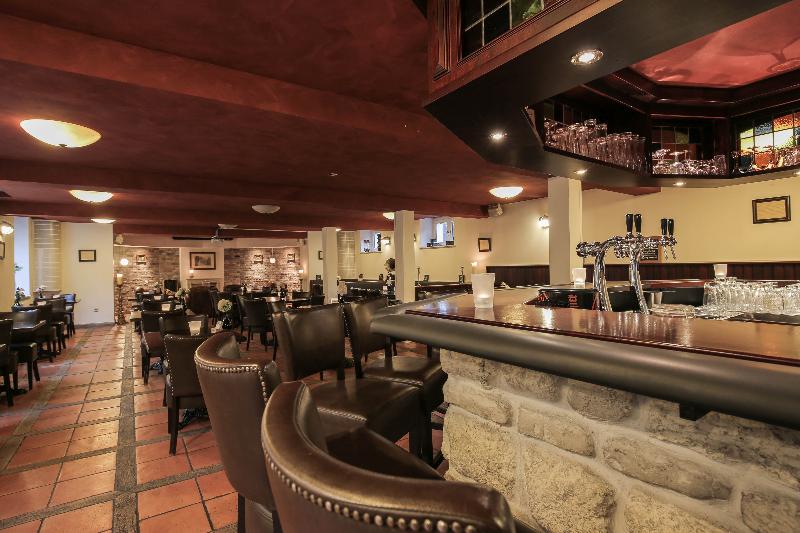 Fletcher Hotel-Restaurant De Dikke Van Dale - Bar