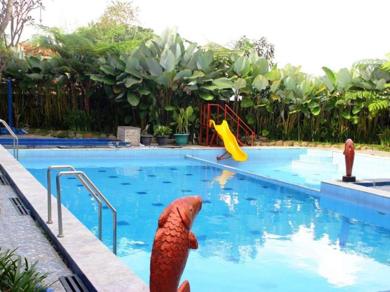 Albis Hotel - Havuz