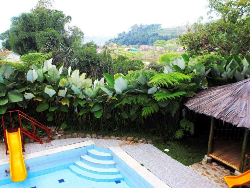 Albis Hotel - Havuz