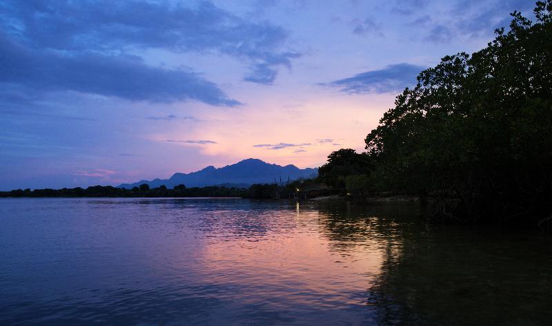 Plataran Menjangan Resort and Spa - Genel