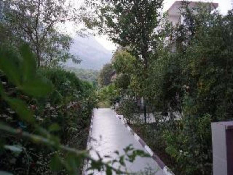 Aybel Inn Hotel - Lobi