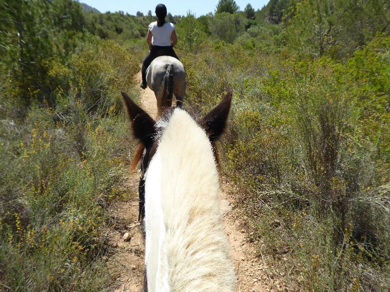 Finca Hotel Can Estades - Aktivite