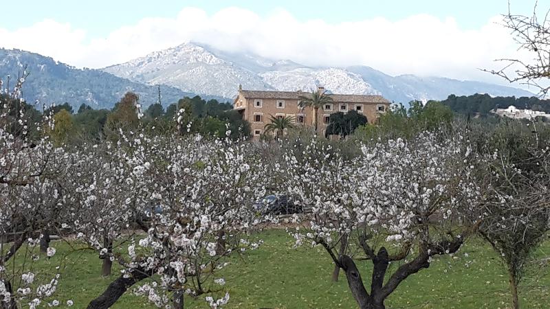 Finca Hotel Can Estades - Genel