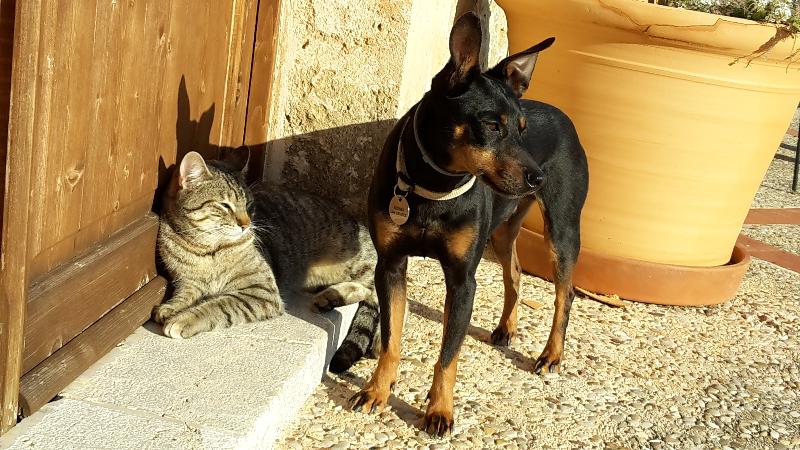 Finca Hotel Can Estades - Genel