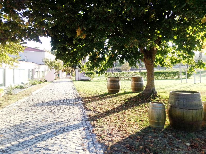 Turim Club D´Azeitão Hotel - Genel