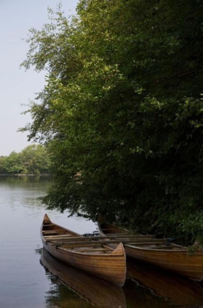 Lusty Beg Island - Aktivite