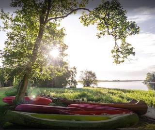 Lusty Beg Island fotoÄŸrafÄ±
