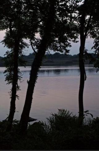 Lusty Beg Island fotoÄŸrafÄ±