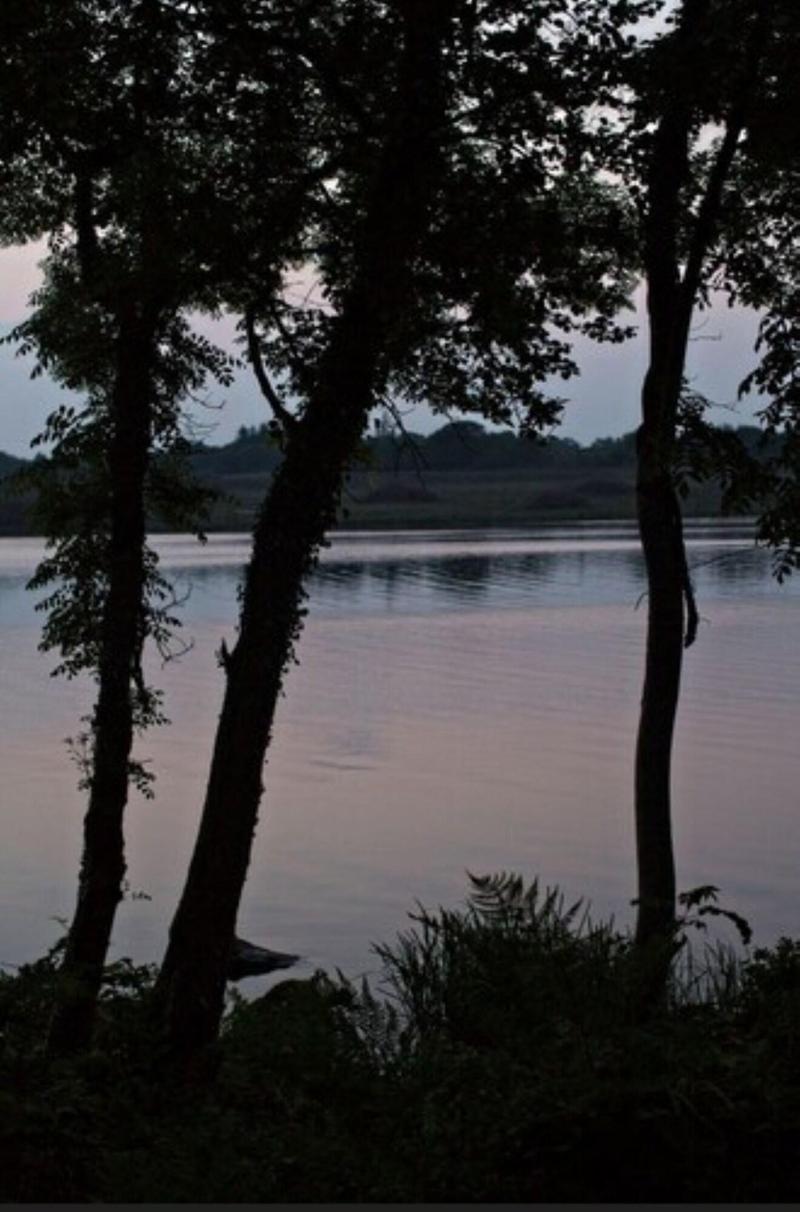 Lusty Beg Island - Genel