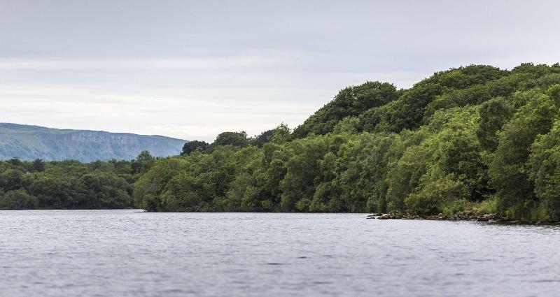 Lusty Beg Island - Genel