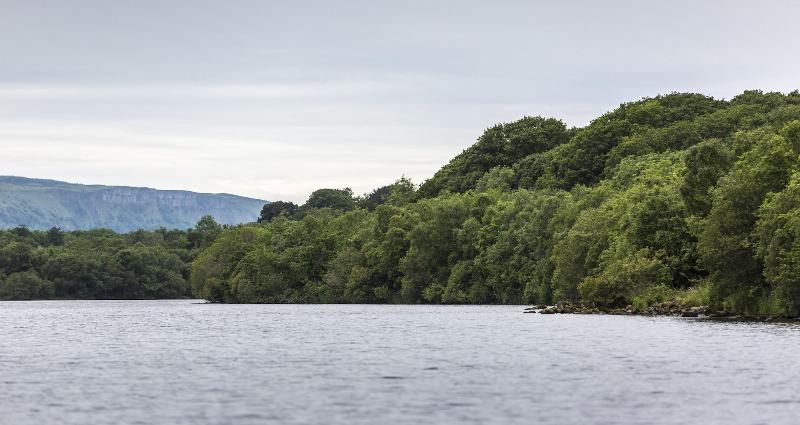 Lusty Beg Island - Genel