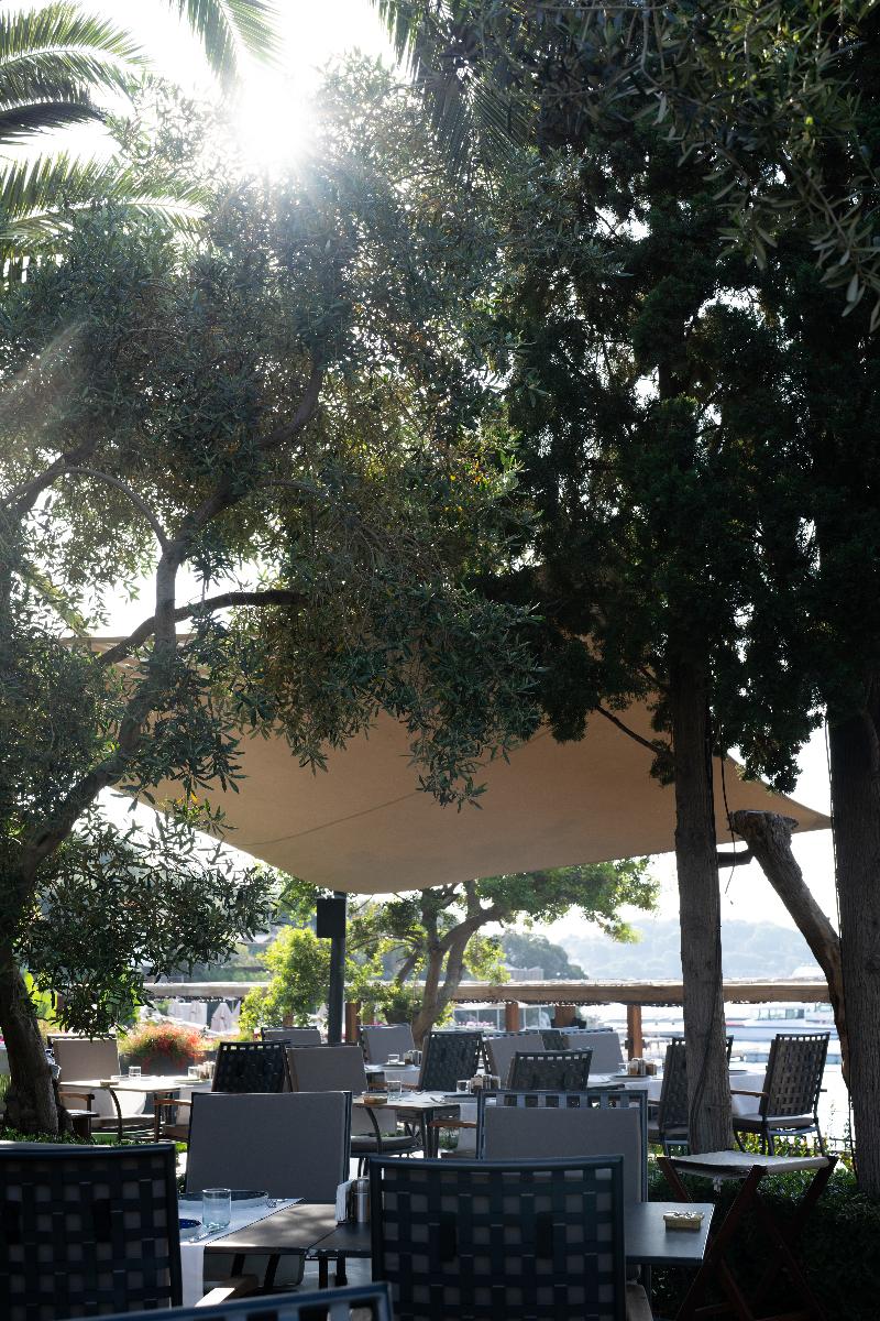 No 81 Hotel - Lobi