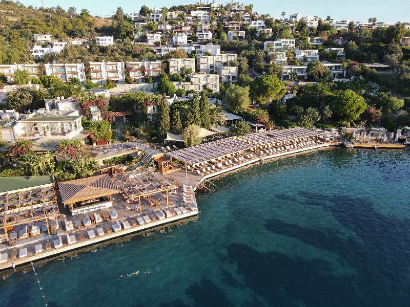 No 81 Hotel - Genel