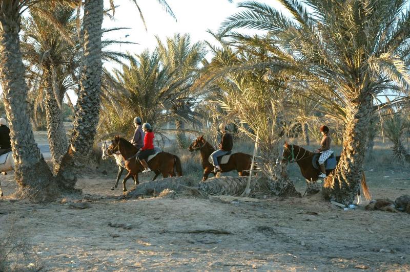 Djerba Castille Hotel - Genel