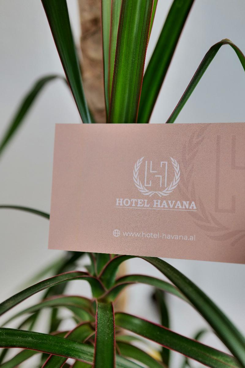 Havana - Genel
