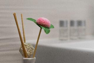 Prima Life Spalato fotoÄŸrafÄ±