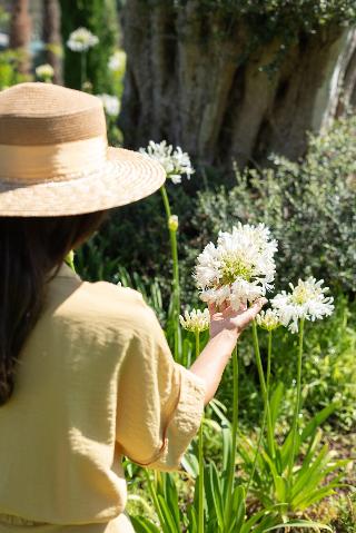 Golden Key Bordubet fotoÄŸrafÄ±