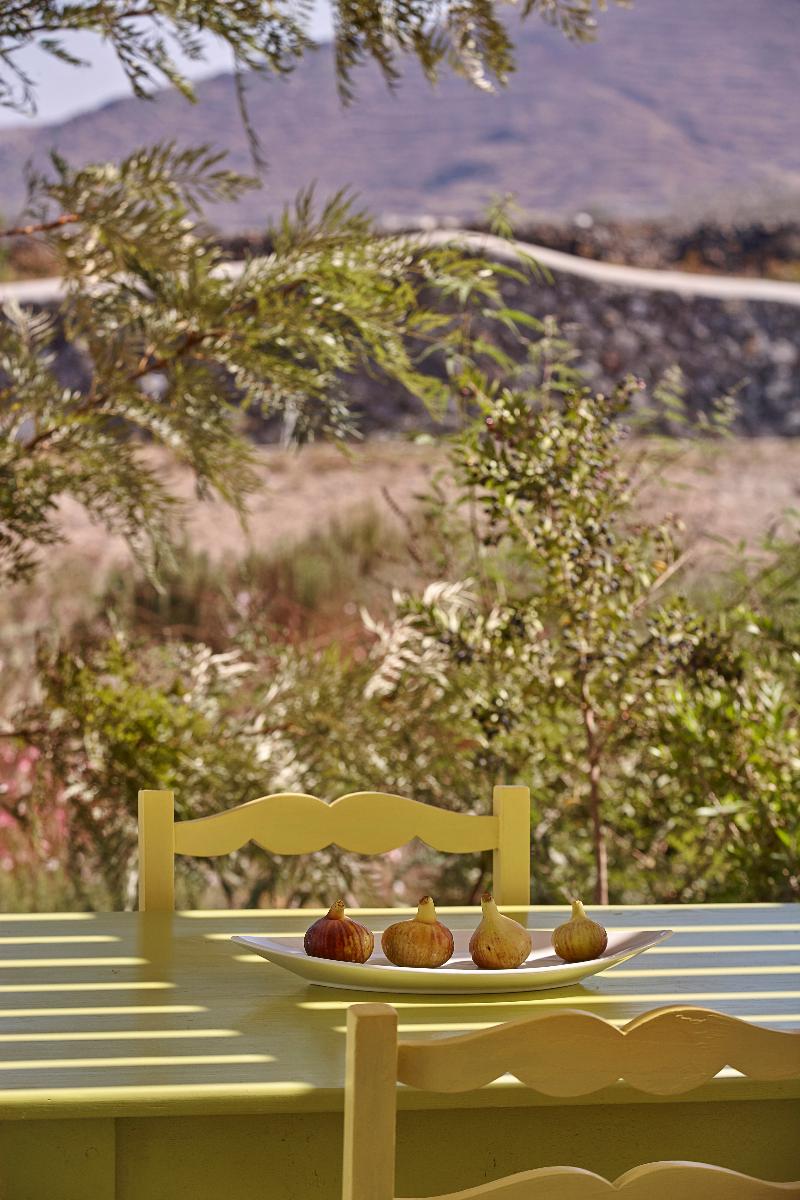Villa Agrikoia - Teras