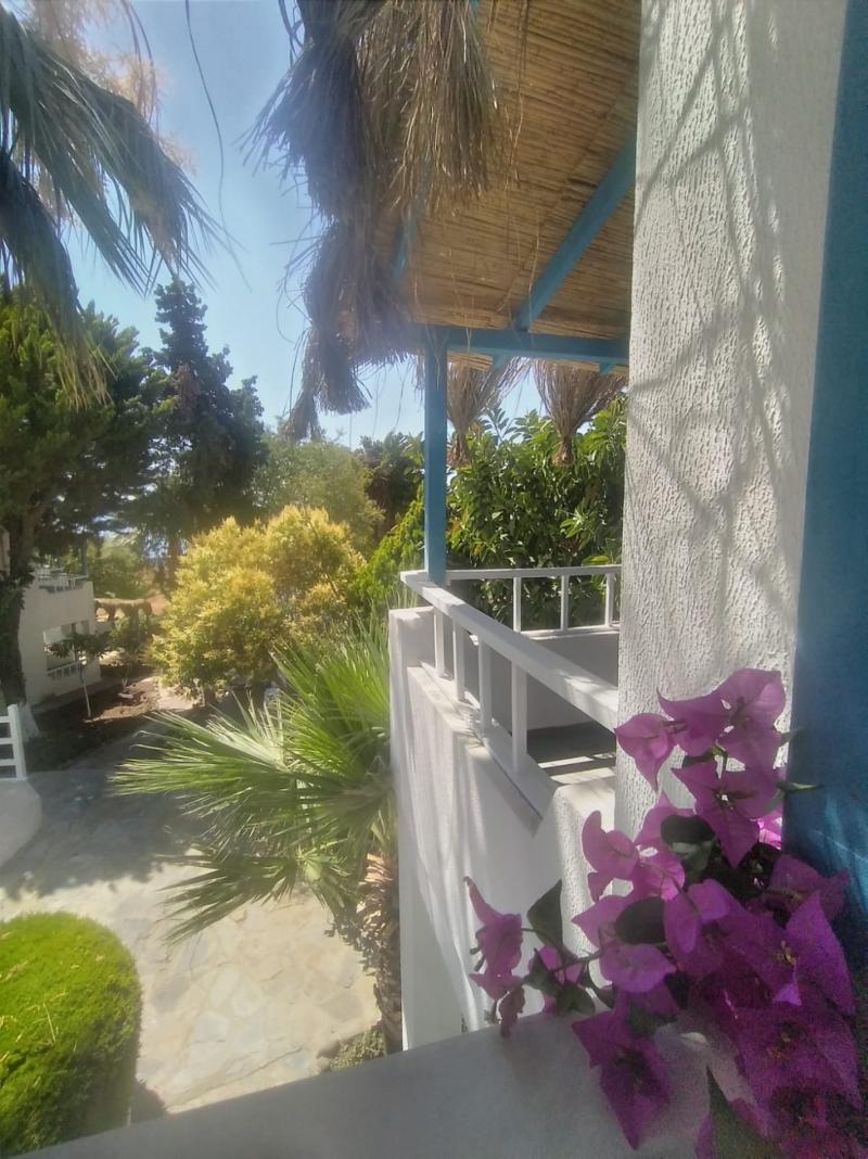 Misket Hotel Bodrum - Genel