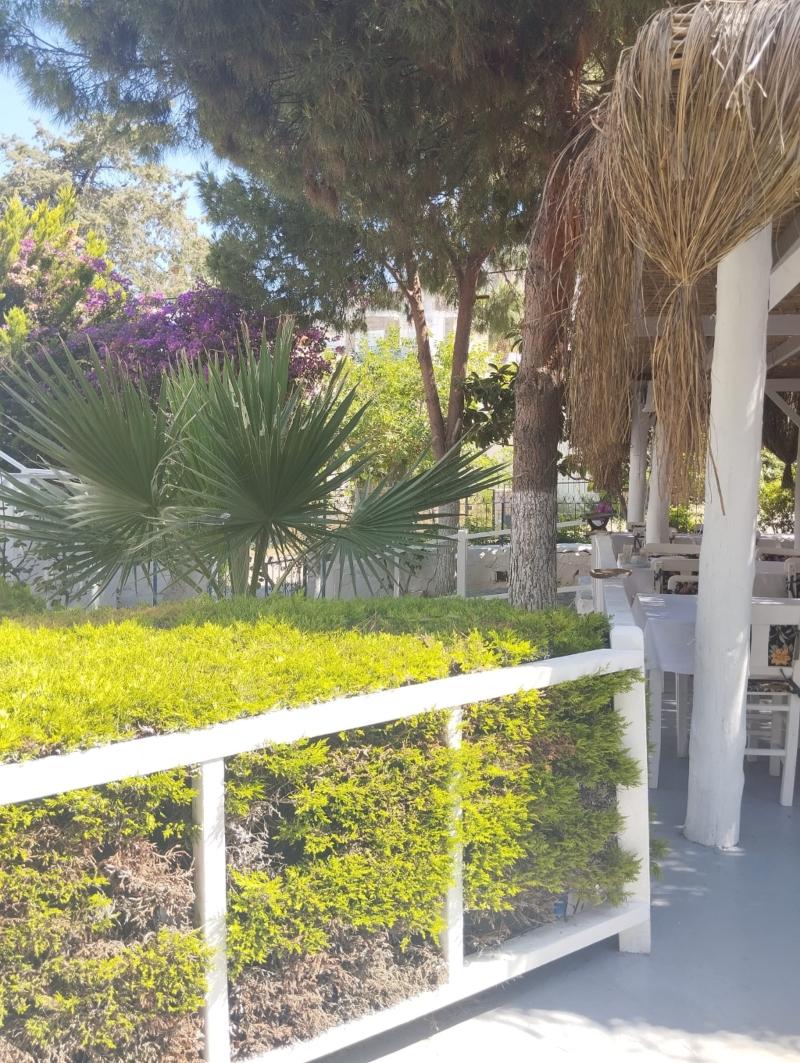 Misket Hotel Bodrum - Genel