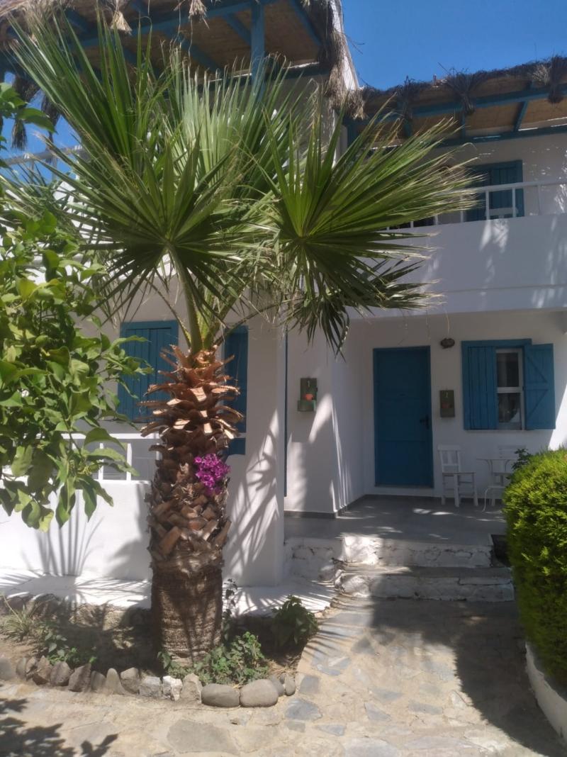 Misket Hotel Bodrum - Genel