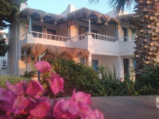 Misket Hotel Bodrum fotoÄŸrafÄ±