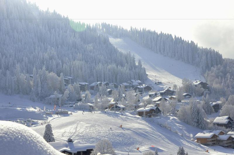 Village Club Les Tavaillons - Aktivite
