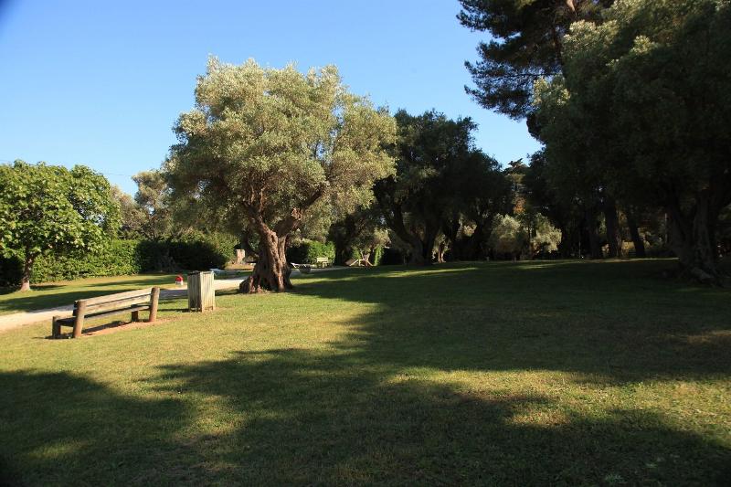 Hotel Club La Font Des Horts - Teras