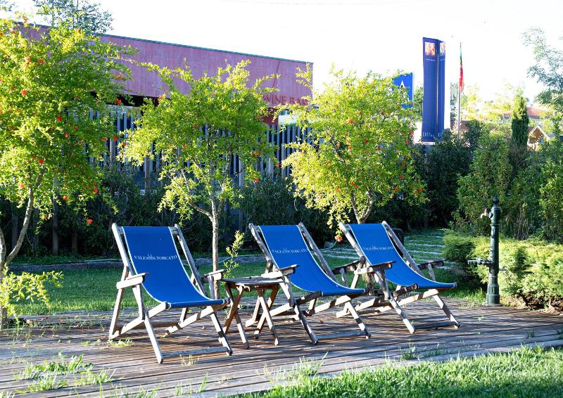 Vale de S. Torcato Houses and Wine Bar - Aktivite