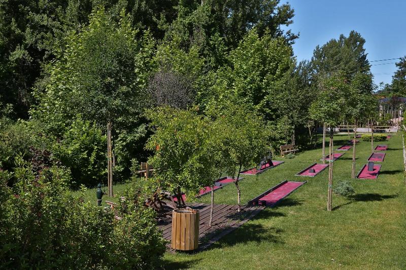 Vale de S. Torcato Houses and Wine Bar - Aktivite
