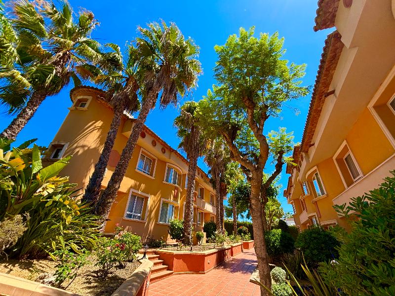 Aparthotel Pinosol - Genel