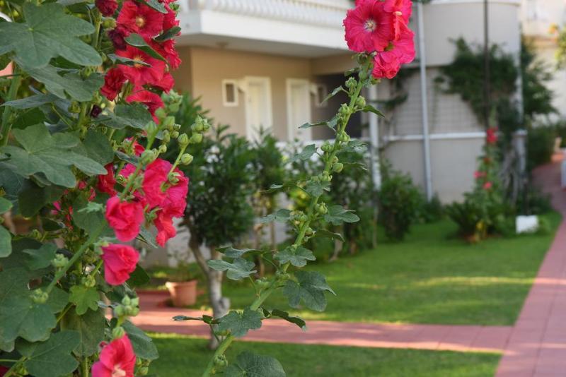 Oludeniz Turquoise Hotel - Genel