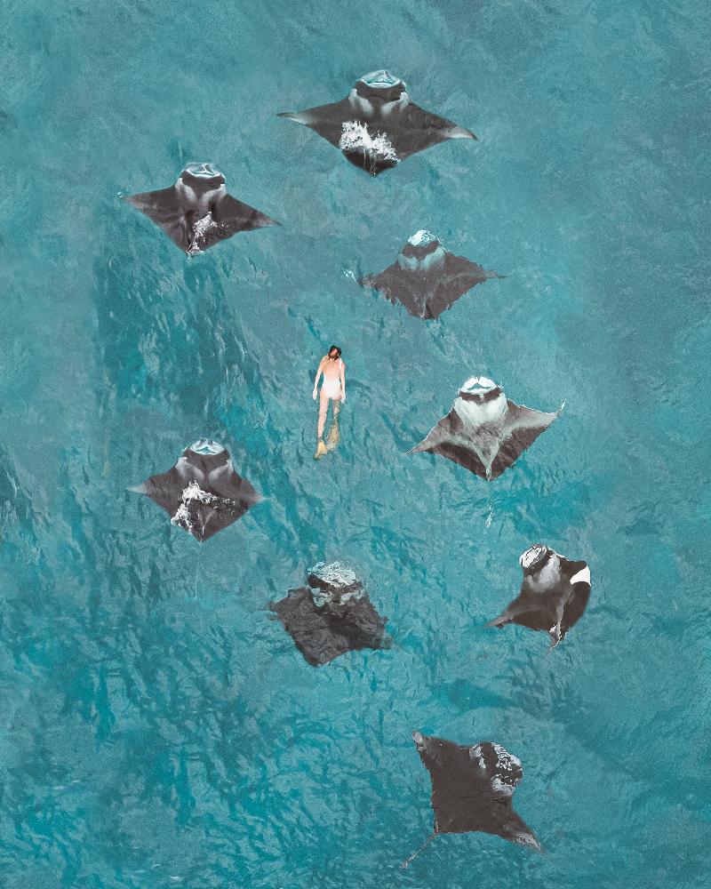 Fushifaru Maldives - Aktivite