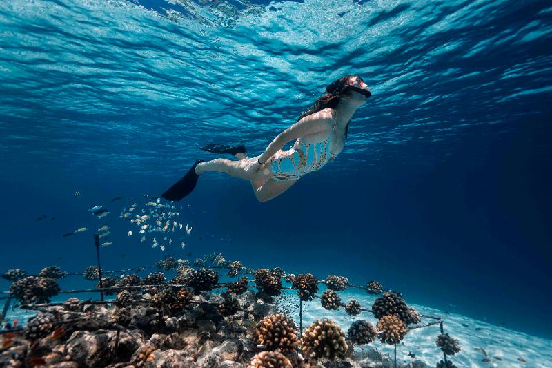 Fushifaru Maldives - Genel