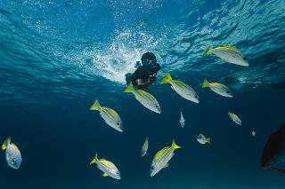 Fushifaru Maldives fotoÄŸrafÄ±