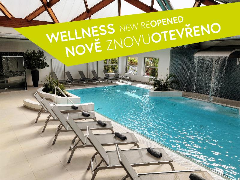 Premium Hotel Znojmo - Havuz