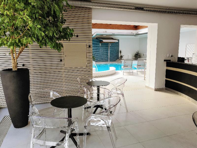 Premium Hotel Znojmo - Havuz