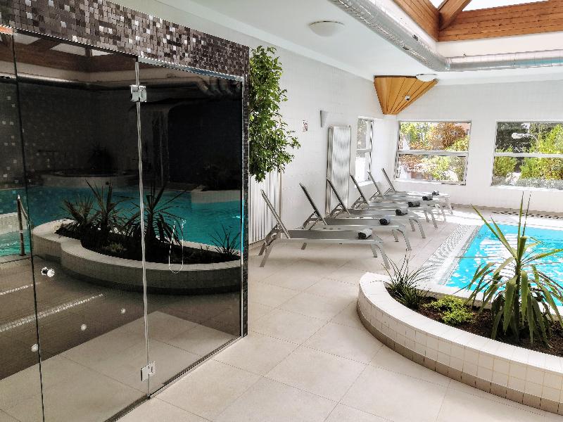 Premium Hotel Znojmo - Havuz