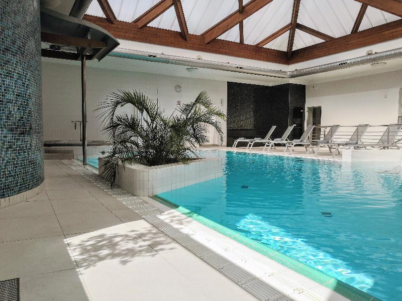 Premium Hotel Znojmo - Havuz