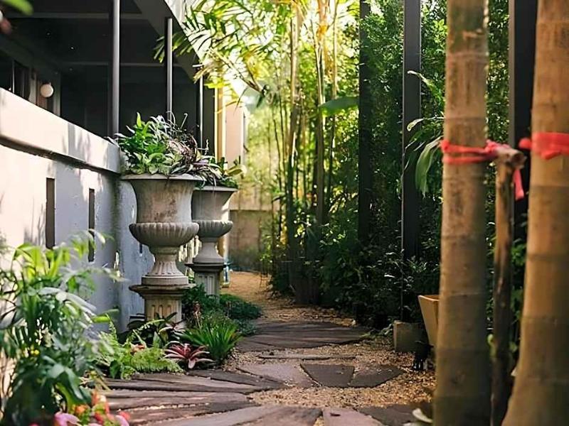 Cozy Inn Chiang Mai - Genel