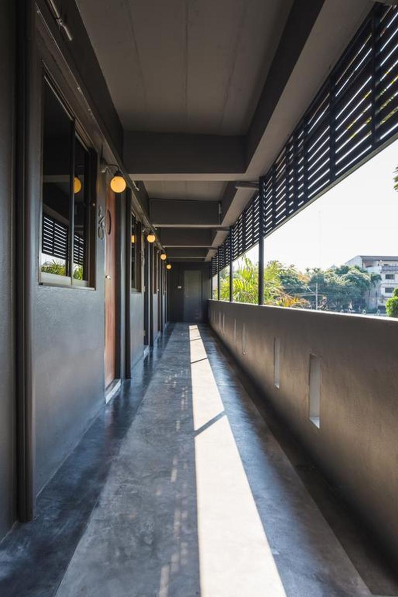 Cozy Inn Chiang Mai - Teras