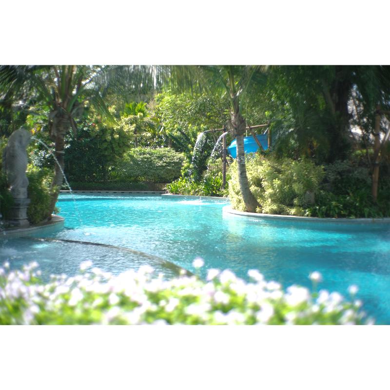 Royal Tulip Springhill Resort Jimbaran - Havuz