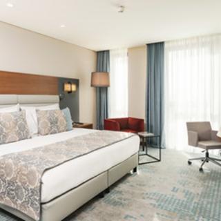 Dedeman Cizre Hotel fotoÄŸrafÄ±