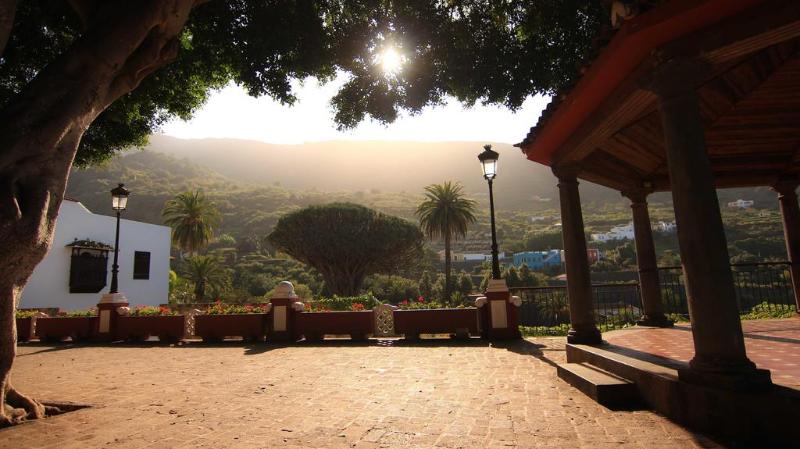 Drago Nest Hostel - Lobi