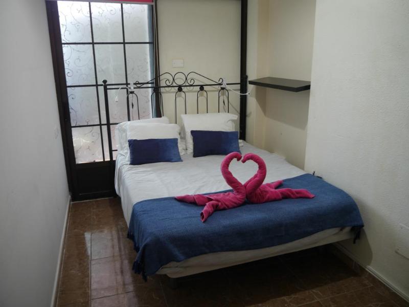 Drago Nest Hostel - Oda