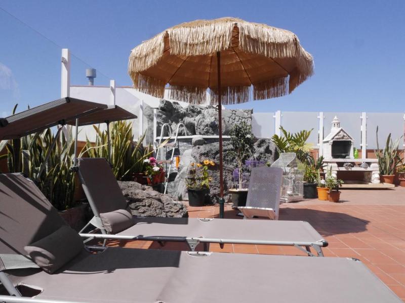 Drago Nest Hostel - Teras
