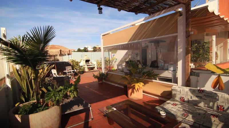 Drago Nest Hostel - Teras