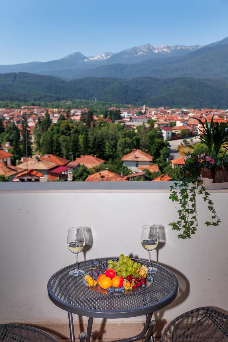 Ruskovets Thermal SPA & Ski Resort - Oda