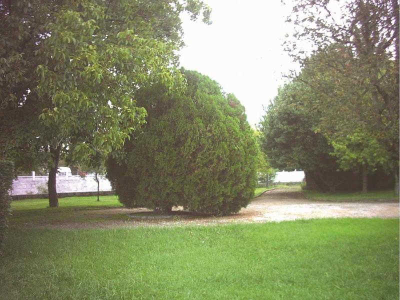 Balneario De Acuna - Aktivite