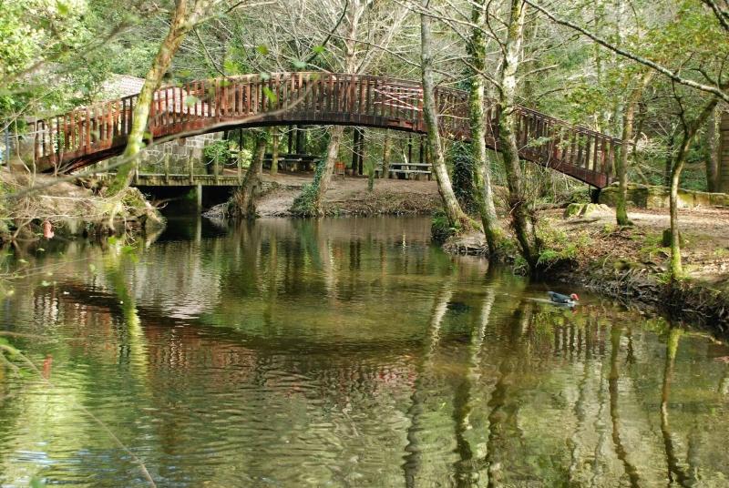 Balneario De Acuna - Genel
